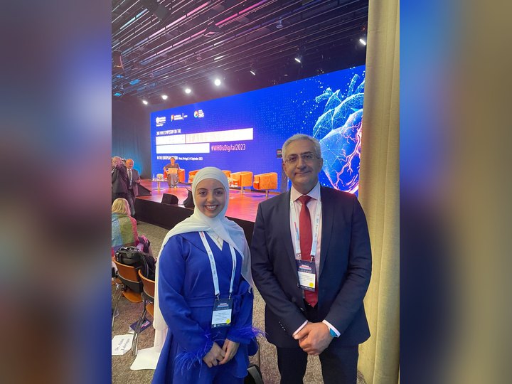 Prof. Georgi Chaltikyan during networking at WHO Health Systems Workshop