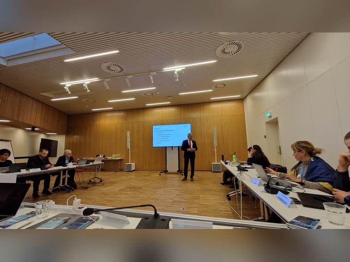 Prof. Georgi Chaltikyan during presentation at WHO Digital Health Workshop