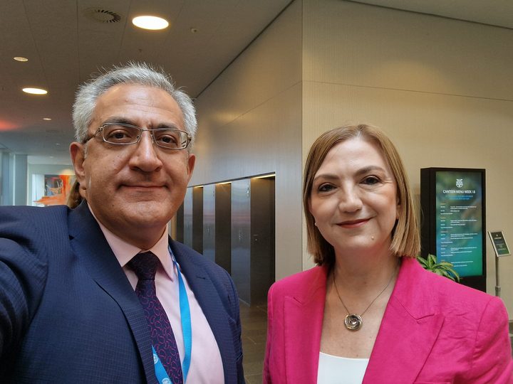 Prof. Georgi Chaltikyan at WHO Health Workforce Symposium